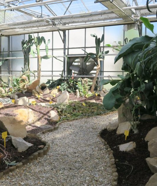 Atelier pédagogique d’observation des insectes dans la serre de Biologie Végétale