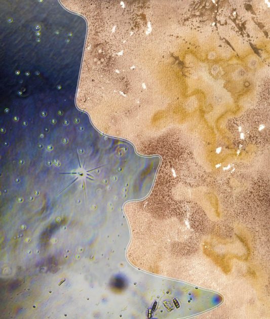 Le chuchotement des écosystèmes