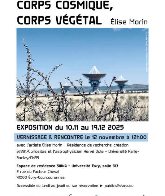 Exposition « Corps cosmique, corps végétal » de Elise Morin