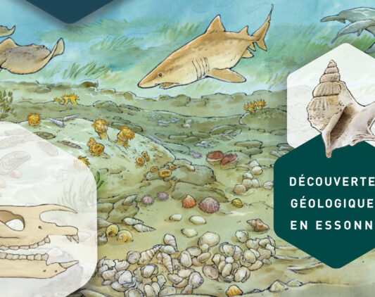 Exposition 30 millions d'années, un voyage dans le passé