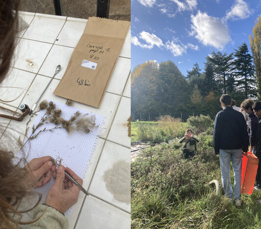Élixirs du Plateau de Saclay / Parcours artistique insolite par la compagnie TANGIBLE