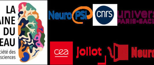 Semaine du Cerveau NeuroSpin et NeuroPSI du 16 au 20 mars 2026