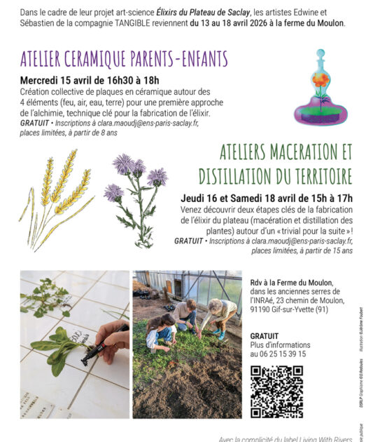 Elixir du Plateau de Saclay