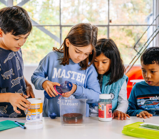 Science Camps - Stages scientifiques 8-14 ans